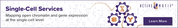 single-cell-servicepng